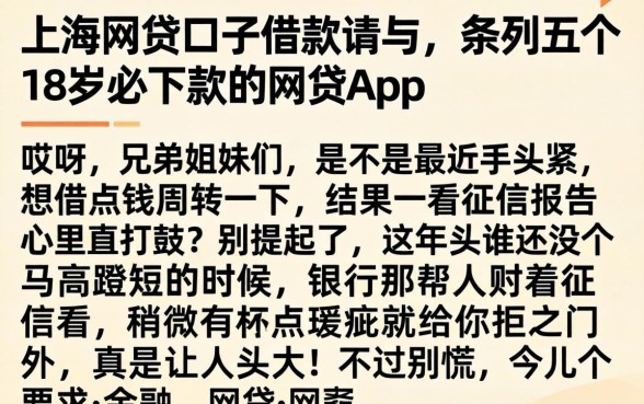 上海网贷口子借款请与，条列五个18岁必下款的网贷app