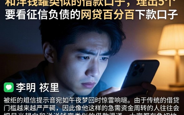 和洋钱罐类似的借款口子，理出5个不看征信负债的网贷百分百下款口子