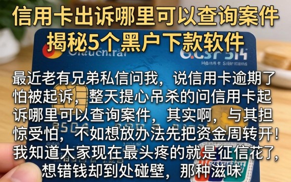 信用卡起诉哪里可以查询案件，揭秘5个黑户下款软件