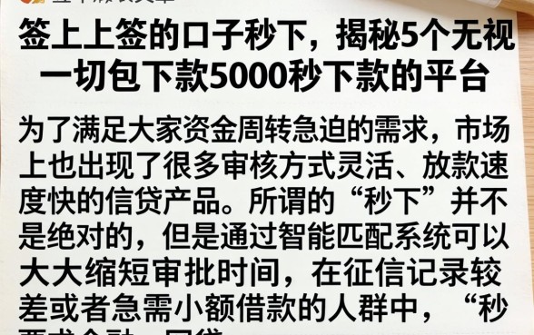 签上上签的口子秒下，揭秘5个无视一切包下款5000秒下款的平台