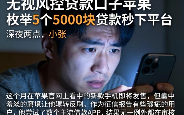 无视风控贷款口子苹果，枚举5个5000块贷款秒下平台