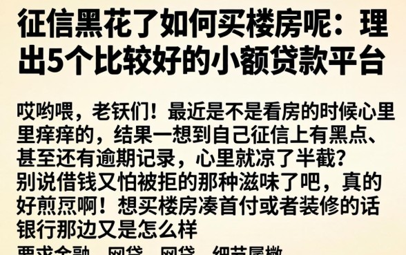 征信黑花了如何买楼房呢，理出5个比较好的小额贷款平台