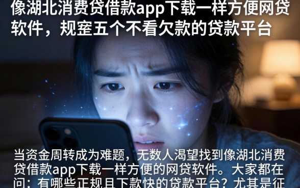 像湖北消费贷借款app下载一样方便的网贷软件，规整五个不看欠款的贷款平台