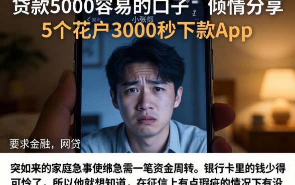 贷款5000容易的口子，倾情分享5个花户3000秒下款app