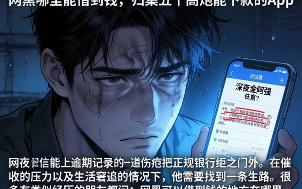 网黑哪里能借到钱，归集五个高炮能下款的app