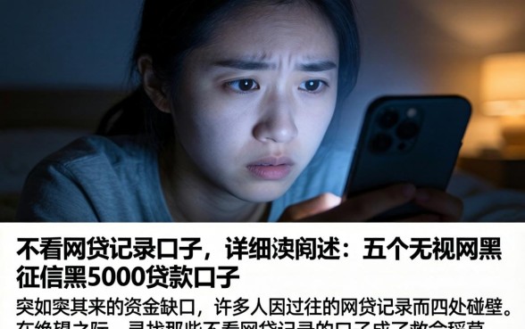 不看网贷记录的口子，详细阐述五个无视网黑征信黑5000贷款口子