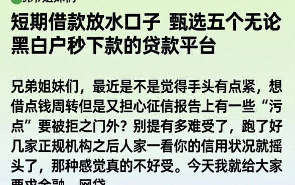 短期借款放水口子，甄选五个无论黑白户秒下款的贷款平台