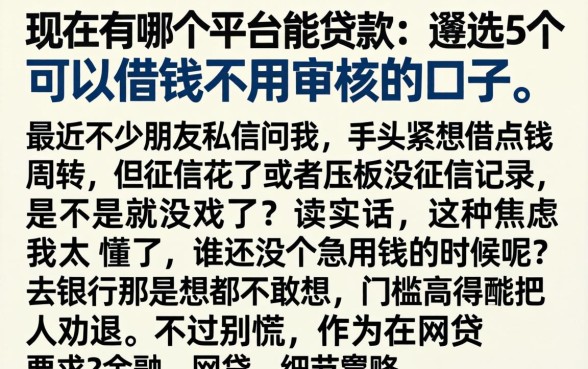 现在有哪个平台能贷款，遴选5个可以借钱不用审核的口子