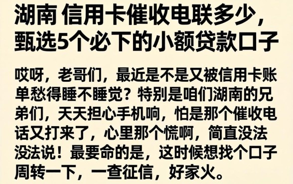 湖南的信用卡催收电联多少，甄选5个必下的小额贷款口子