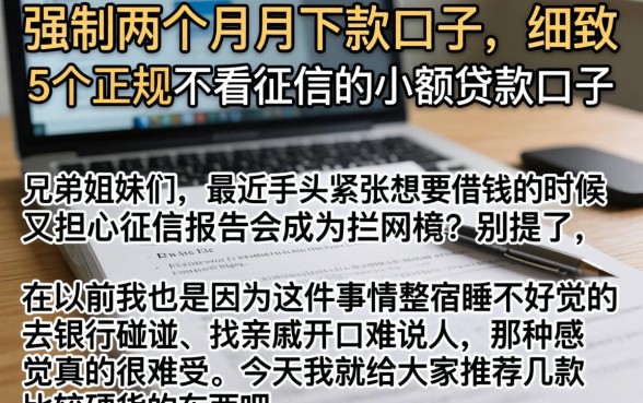 强制两个月月下款的口子，细致阐述5个正规不看征信的小额贷款口子