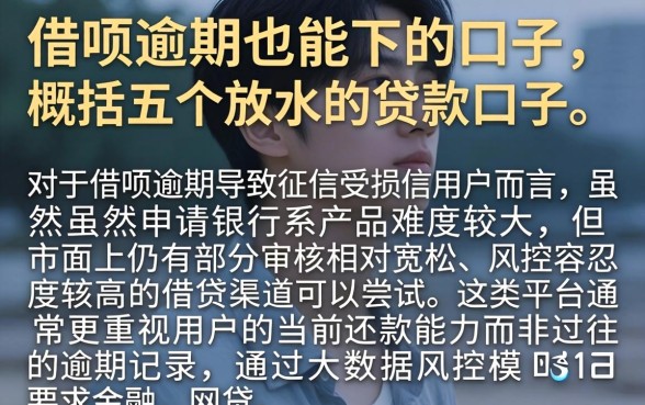 借呗逾期也能下的口子,概括五个放水的贷款口子