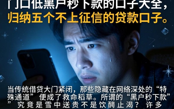 门口低的黑户秒下款的口子大全，归纳五个不上征信的贷款口子