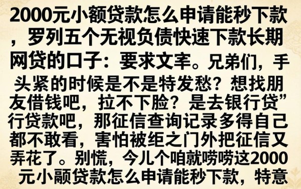 2000元小额贷款怎么申请能秒下款，罗列五个无视负债快速下款长期网贷的口子
