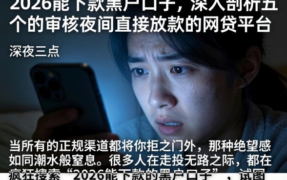 2026能下款的黑户口子,深入剖析五个不审核夜间直接放款的网贷平台