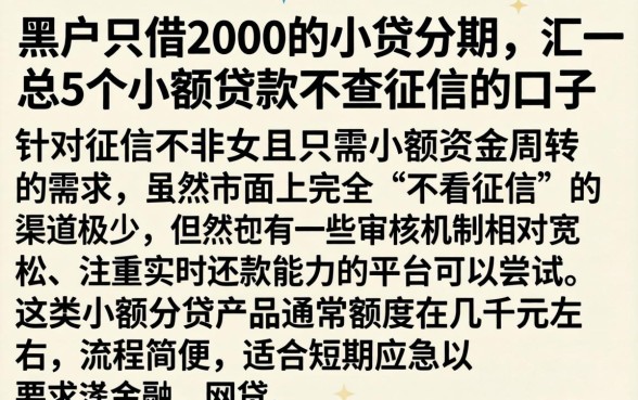 黑户只借2000的小贷分期，汇总5个小额贷款不查征信的口子