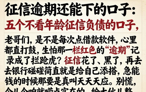 征信逾期还能下的口子，详细阐述五个不看年龄征信负债的口子