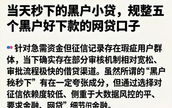 当天秒下的黑户小贷，规整五个黑户好下款的网贷口子