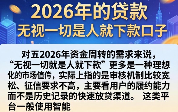 2026年的贷款，详细阐述五个无视一切是人就下款口子