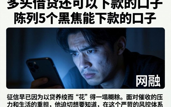 多头借贷还可以下款的口子，陈列5个黑户能下款的口子