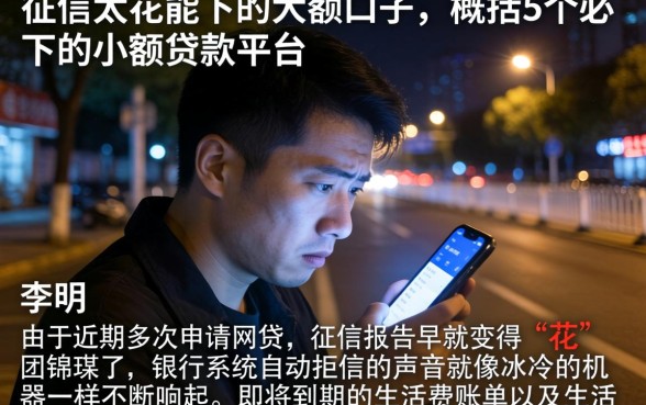 征信太花能下的大额口子，概括5个必下的小额贷款平台