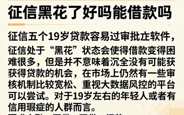 征信黑花了好吗能借款吗，概览五个19岁贷款容易过审批的软件