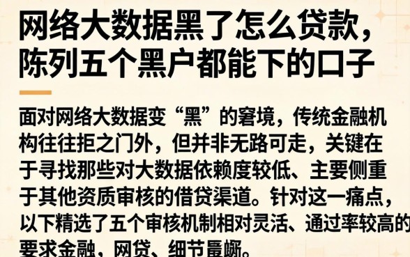 网络大数据黑了怎么贷款，陈列五个黑户都能下的口子