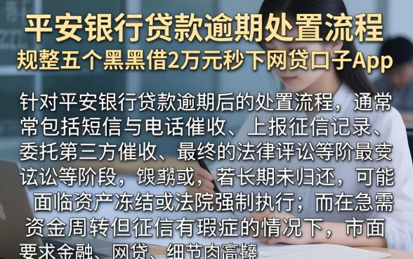 平安银行贷款逾期处置流程，规整五个黑户借2万元秒下网贷口子app