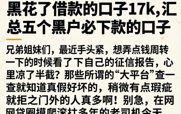 黑花了借款的口子17k，汇总五个黑户必下款的口子