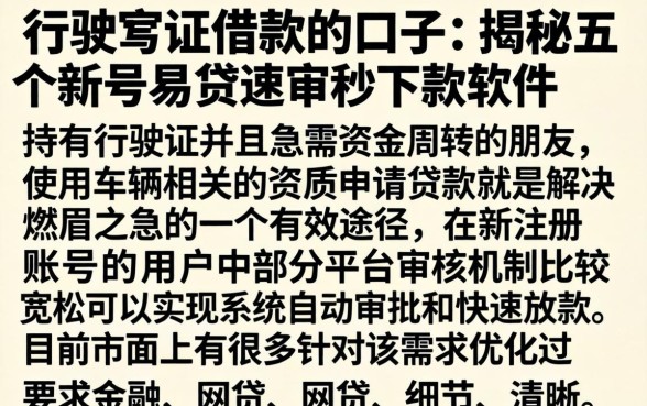 行驶证借款的口子，揭秘五个新号易贷速审秒下款软件