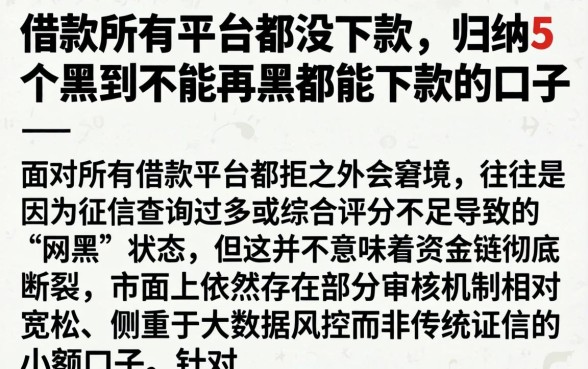 借款所有平台都没下款，归纳5个黑到不能再黑都能下款的口子