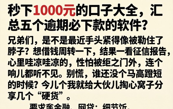 秒下1000元的口子大全，汇总五个逾期必下款的软件