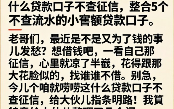什么贷款口子不查征信，整合5个不查流水的小额度贷款口子
