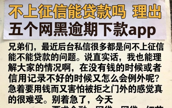 不上征信能贷款吗，理出五个网黑逾期下款app
