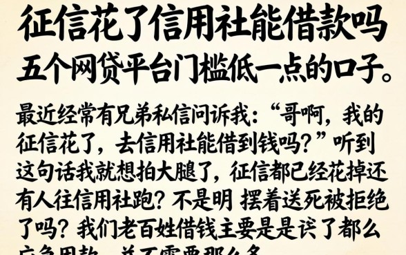 征信花了信用社能借款吗，概括五个网贷平台门槛低一点的口子