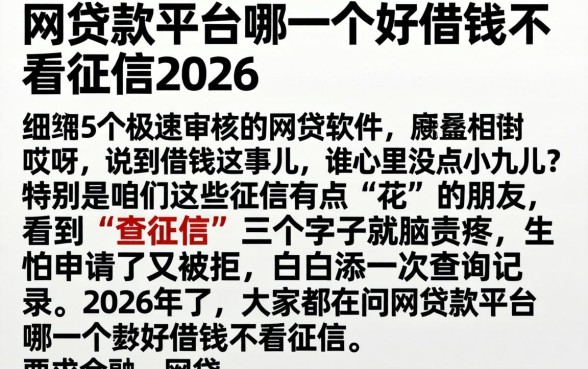 网贷款平台哪一个好借钱不看征信2026，细致阐述5个极速审核的网贷软件