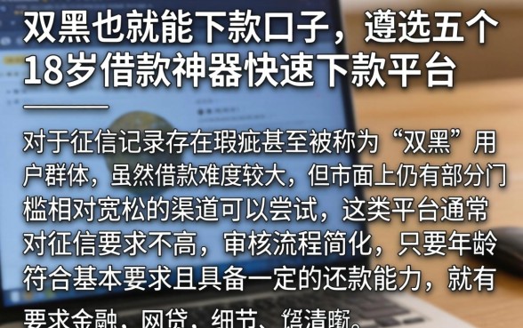 双黑的也就能下款口子，遴选五个18岁借款神器快速下款平台