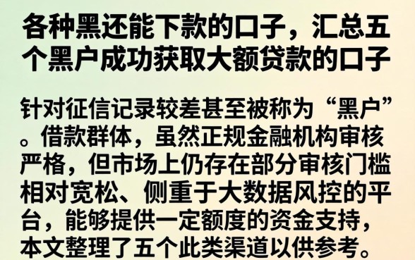 各种黑还能下款的口子，汇总五个黑户成功获取大额贷款的口子