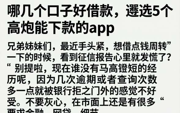 哪几个口子好借款，遴选5个高炮能下款的app