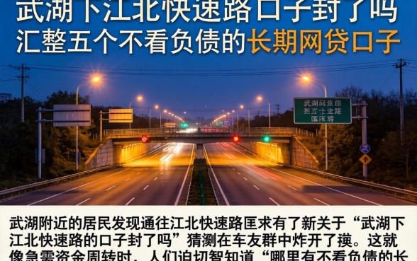 武湖下江北快速路的口子封了吗，汇整五个不看负债的长期网贷口子