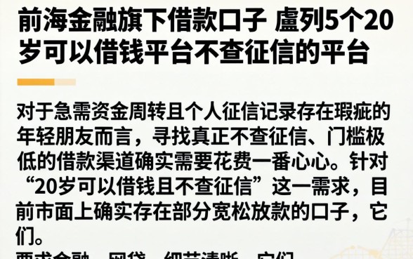 前海金融旗下借款口子，胪列5个20岁可以借钱平台不查征信的平台
