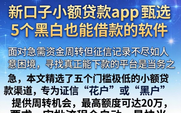 新口子小额贷款app，甄选5个黑户也能借款的软件