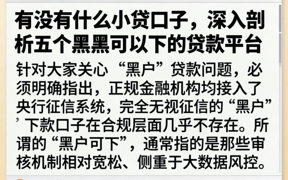 有没有什么小贷口子，深入剖析五个黑户可以下的贷款平台