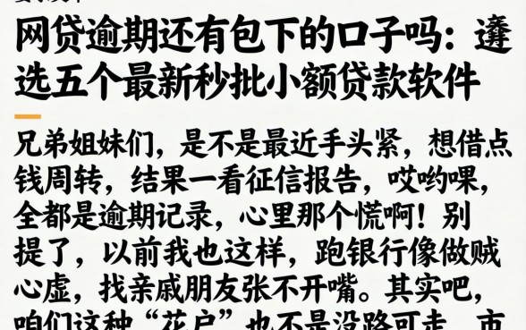 网贷逾期还有包下的口子吗，遴选五个最新秒批小额贷款软件