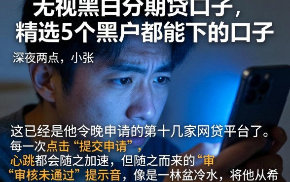 无视黑白分期贷的口子，精选5个黑户都能下的口子