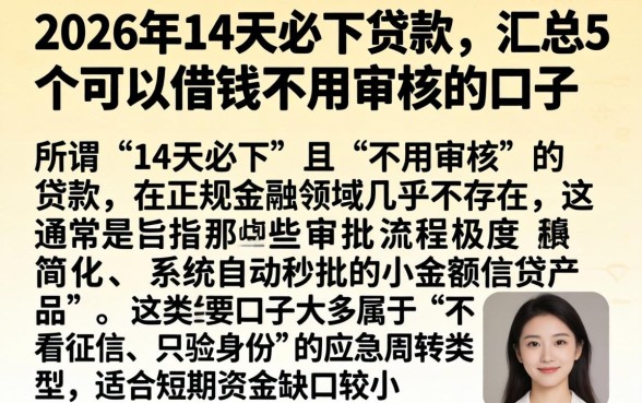 2026年14天必下贷款，汇总5个可以借钱不用审核的口子