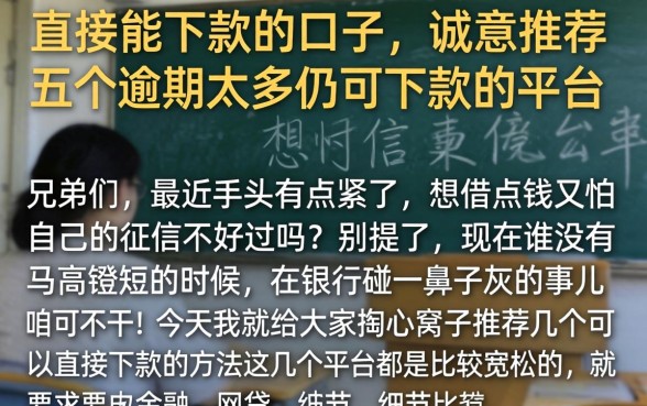 直接能下款的口子，诚意推荐五个逾期太多仍可下款的平台