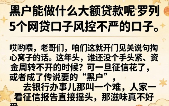 黑户能做什么大额贷款呢，罗列5个网贷口子风控不严的口子