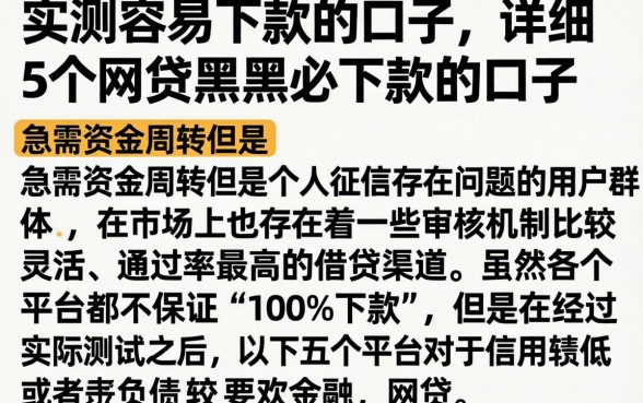 实测容易下款的口子,详细阐述5个网贷黑户必下款的口子
