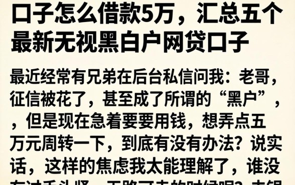 口子怎么借款5万，汇总五个最新无视黑白户网贷口子