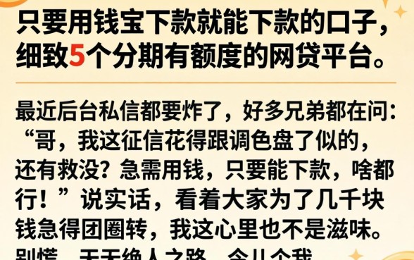 只要用钱宝下款就能下款的口子，细致阐述5个分期有额度的网贷平台
